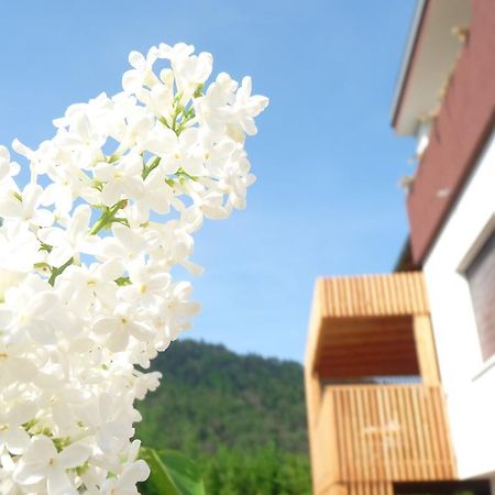 B&B Casa Sul Lago - Appartamenti Calceranica al Lago Quarto foto