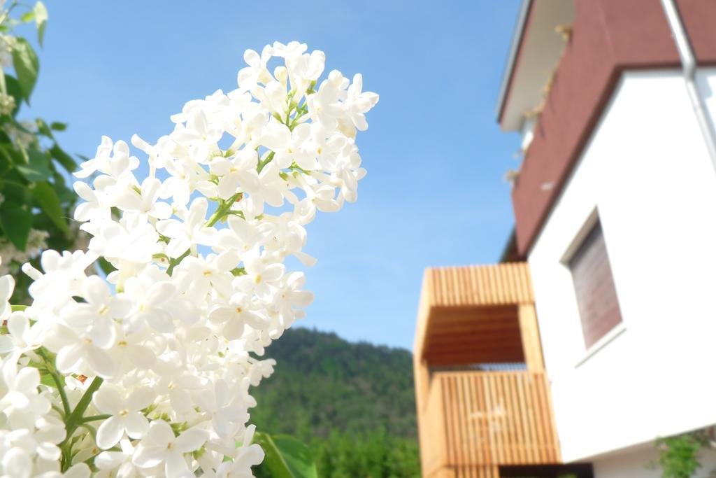 B&B Casa Sul Lago - Appartamenti Calceranica al Lago Quarto foto