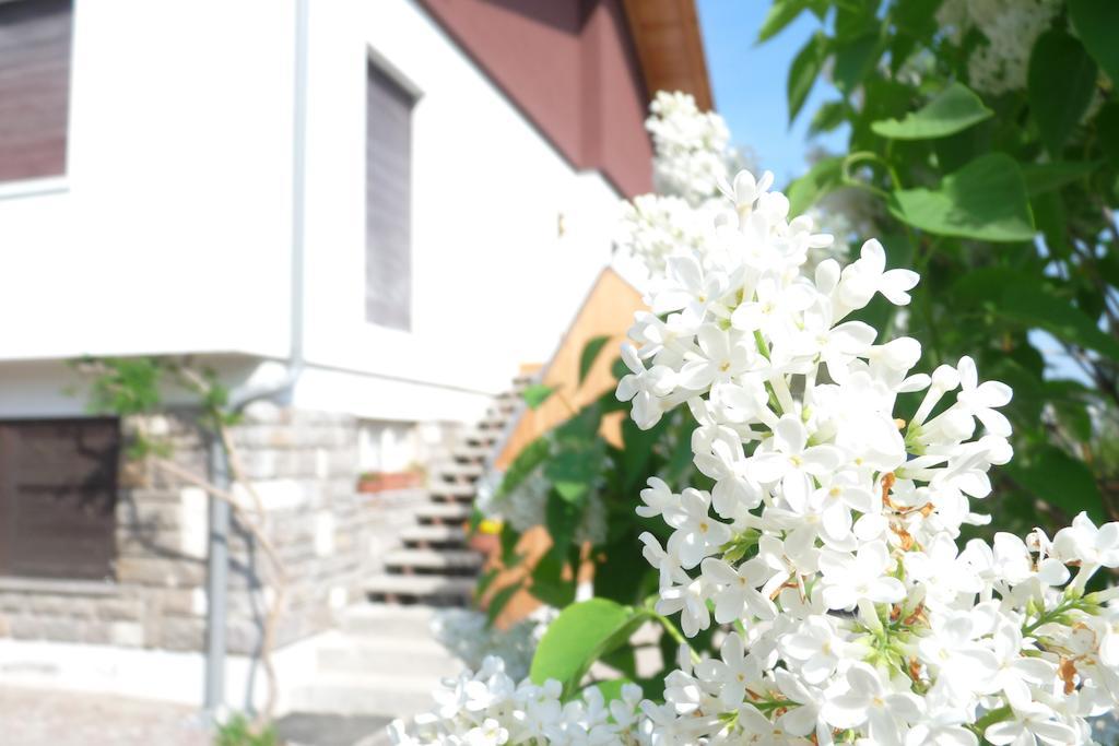 B&B Casa Sul Lago - Appartamenti Calceranica al Lago Exterior foto